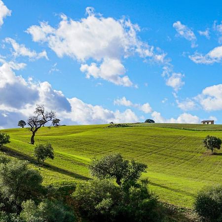 Casa Al Cerro Daire Alora Dış mekan fotoğraf