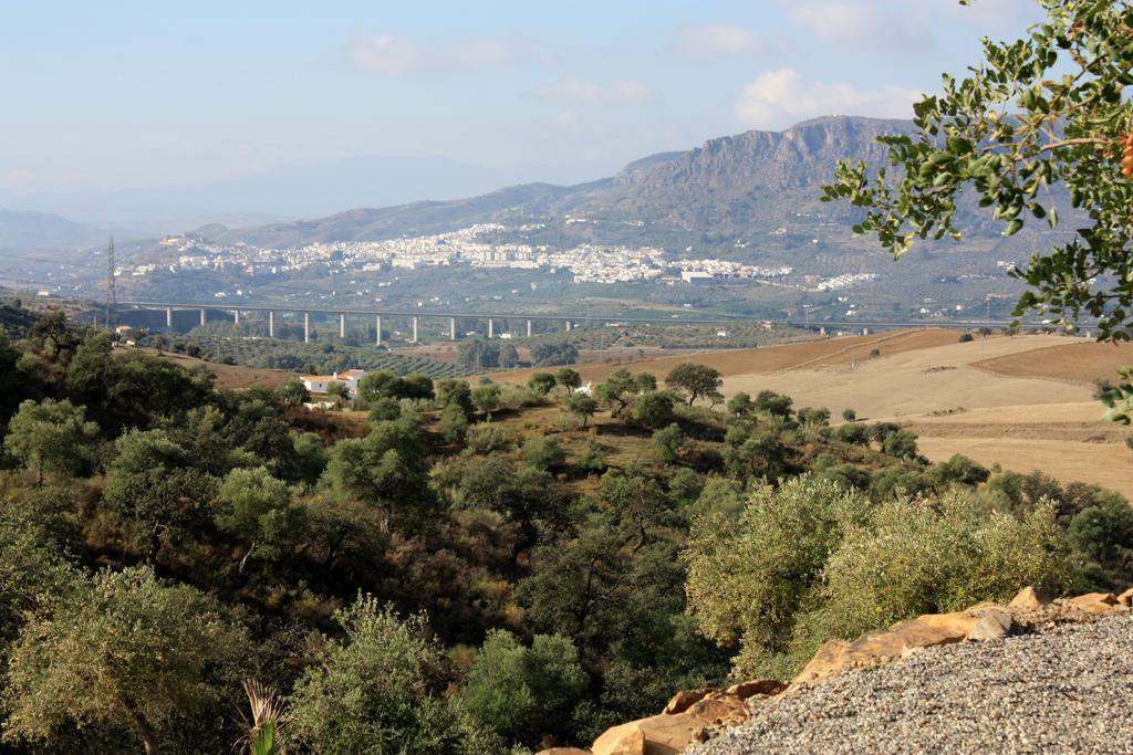 Casa Al Cerro Daire Alora Oda fotoğraf