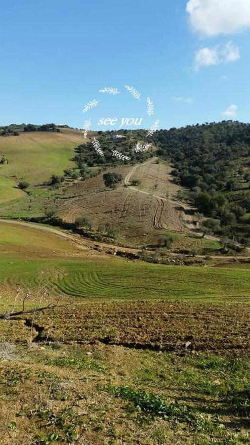 Casa Al Cerro Daire Alora Dış mekan fotoğraf