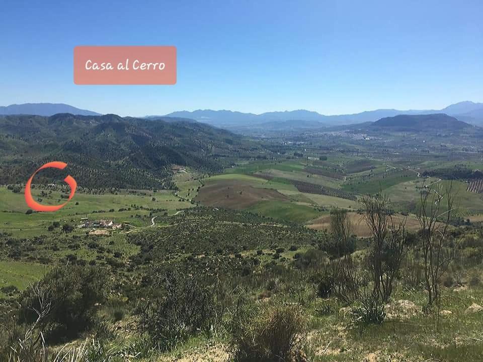 Casa Al Cerro Daire Alora Dış mekan fotoğraf